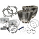 Kit Bolt-In Sidewinder® Big Bore — 4" de diámetro, 110" de cilindrada, carrera 4-3/8", compresión 10,5:1