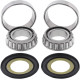 Neck Post Bearing/Race Complete Replacement Kit — neck post