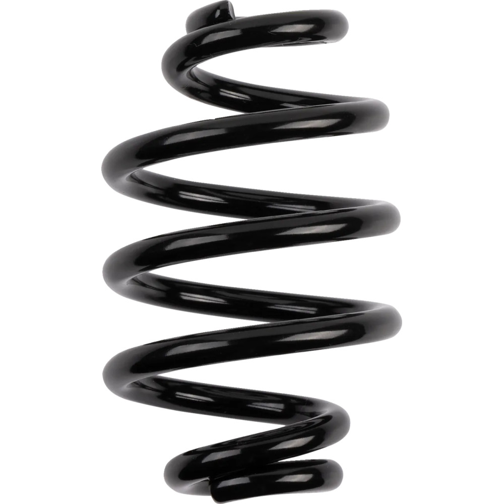 Seat Springs — 76 mm (3"), Black, Gloss