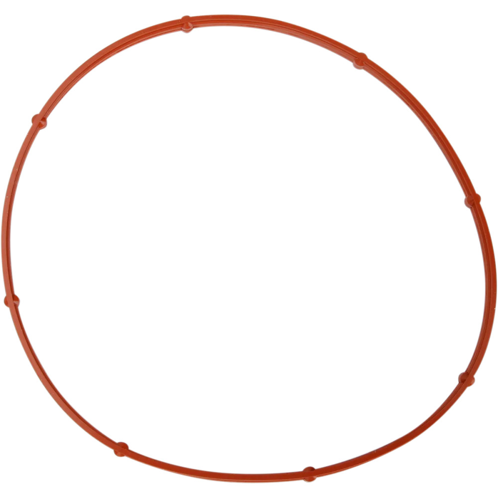Derby Cover Gasket — C9152F1