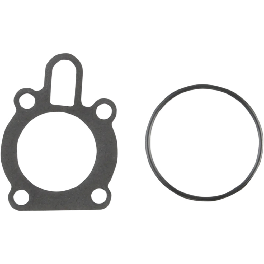 Oil Pump Gasket — C10149