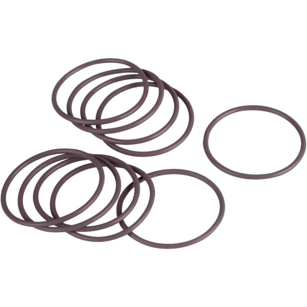 Starter O-Ring — 5 Pack, Crankcase/Starter Motor