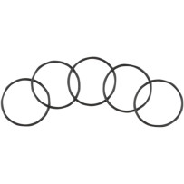 Starter O-Ring — Starter, 5-pack