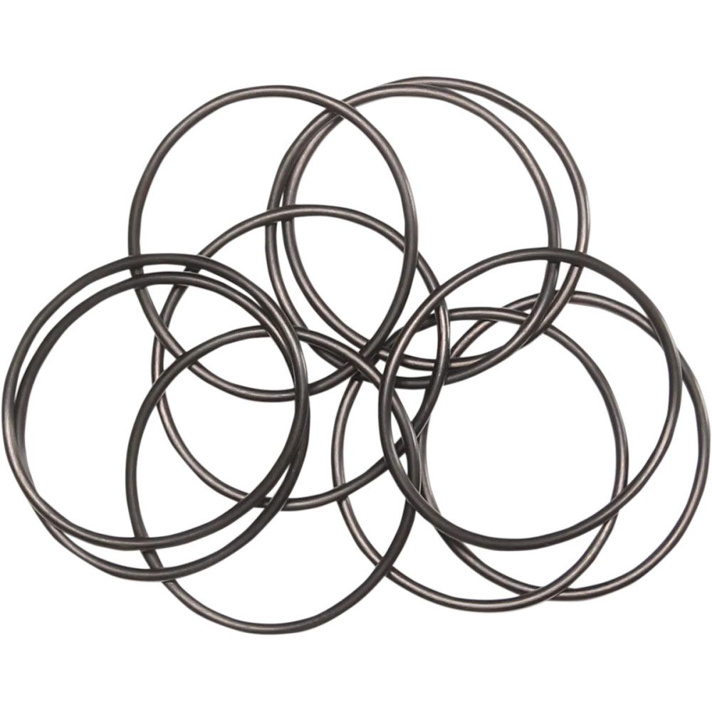 Oil Pump O-Ring — Viton, 10 pack