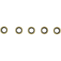 Starter Shaft Seal — Viton, 5 Pack