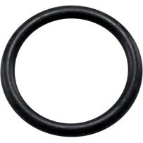 Drain Plug O-Ring — 10-pack