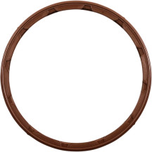 Oil Pump Seal — C10305