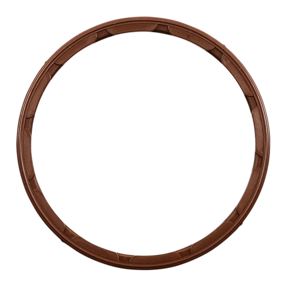 Oil Pump Seal — C10305