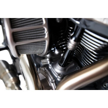 10 Gauge Lifter Block Covers — Anodized titanium, Pair