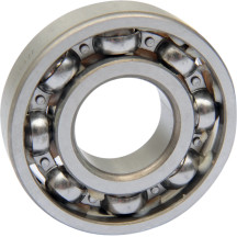 Counterbalance Shaft Bearing — Left mount