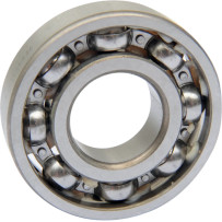 Counterbalance Shaft Bearing — Left mount