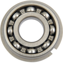Counterbalance Shaft Bearing — Right mount, A-8991