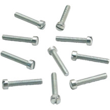 Slotted Flat Head Screws — 10 Pack, Silver