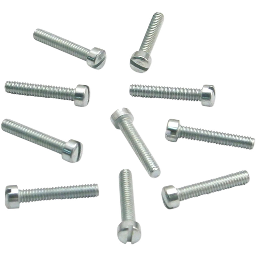 Slotted Flat Head Screws — 10 Pack, Silver