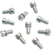 Slotted Screws — 10 Pack