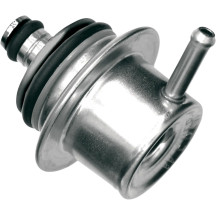 Electronic Fuel-injection Regulator — 43.51 psi (300 kPa), Silver