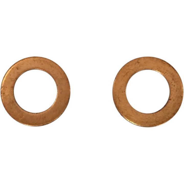 Fork Damper Tube Mount Washers — 8.00 mm (0.314\"), pair