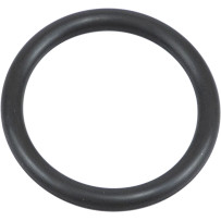 O-Ring — Viton, P/N 50-8046