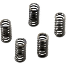 CSK Series Heavy Duty Clutch Spring Kit — CSK Series