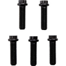 Sistema universal de conversión a cadena con Cush Drive — cadena 530, 53 dientes, oro