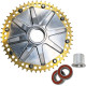 Piñón de cadena Cush Drive — 530, 51T, Dorado