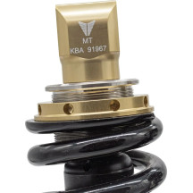 Rear Lowering Kit — 130-40, Rear, Gold