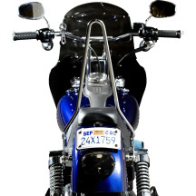 EXFIL Sissy Bars — Chrome