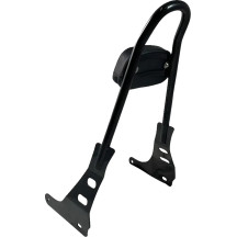 One-Piece Sissy Bar — 21" height, 3" pad, 6" pad width, Black gloss