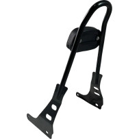 One-Piece Sissy Bar — 21" height, 3" pad, 6" pad width, Black gloss