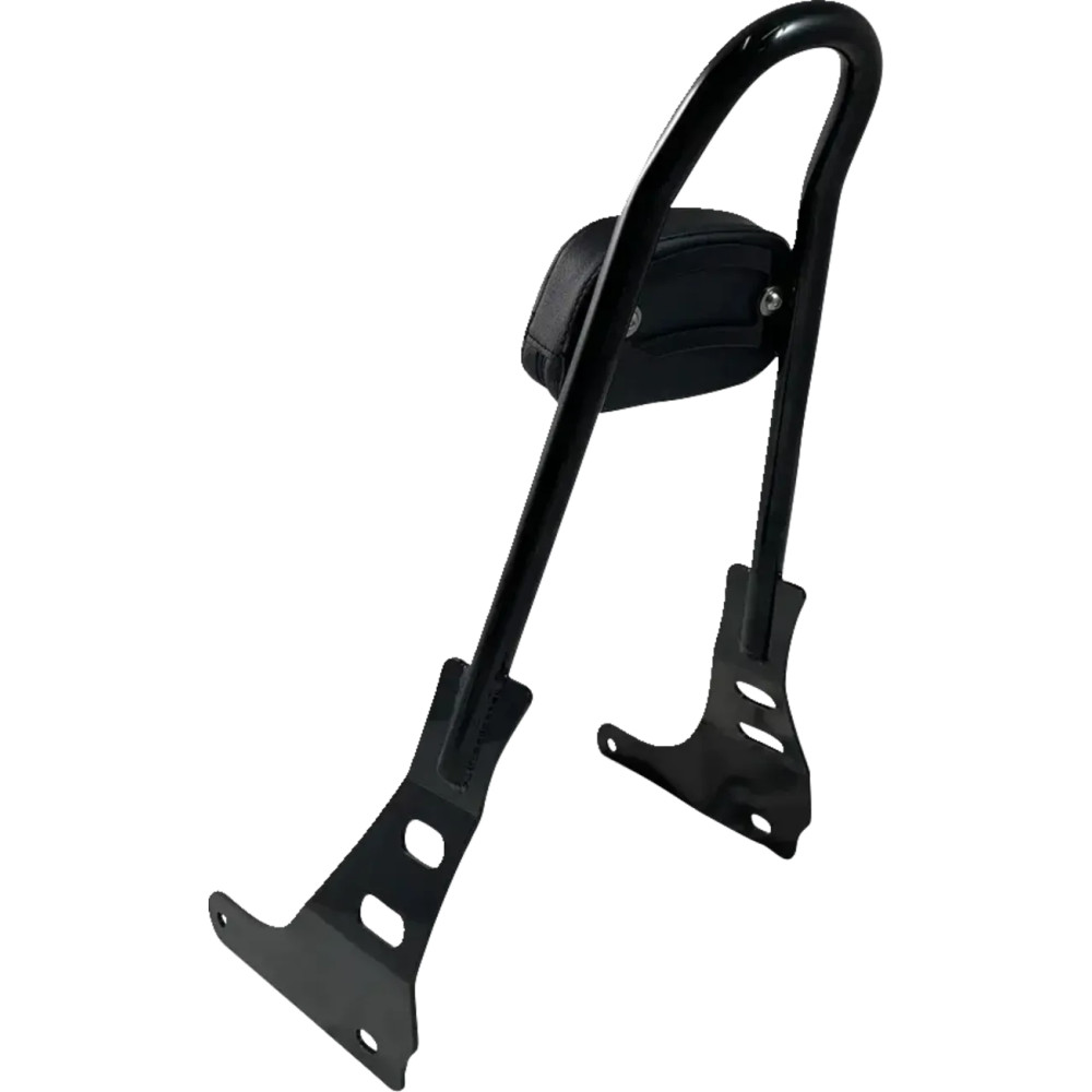 One-Piece Sissy Bar — 21" height, 3" pad, 6" pad width, Black gloss