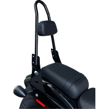 One-Piece Sissy Bar — 21" height, 3" pad, 6" pad width, Black gloss