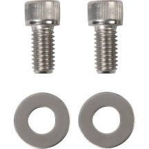 Foot Pegs — Rear, Silver, Polished