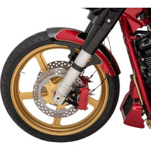 Two-Piece Brake Rotor — 300 mm, Gold