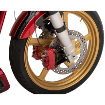 Two-Piece Brake Rotor — 300 mm (11.8"), 3.25" bolt circle, Gold