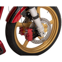 Two-Piece Brake Rotor — 300 mm (11.8"), 3.25" bolt circle, Gold