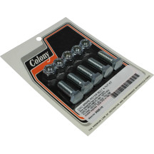 Disc Brake Rotor Bolt and Nut Kit — Zinc