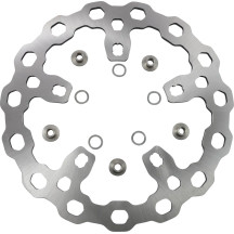 Oversize Cubiq™ Brake Rotor — 318 mm, Chrome