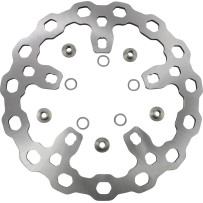 Oversize Cubiq™ Brake Rotor — 318 mm, Chrome