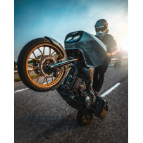 Two-Piece Brake Rotor — 292 mm (11.5"), Black