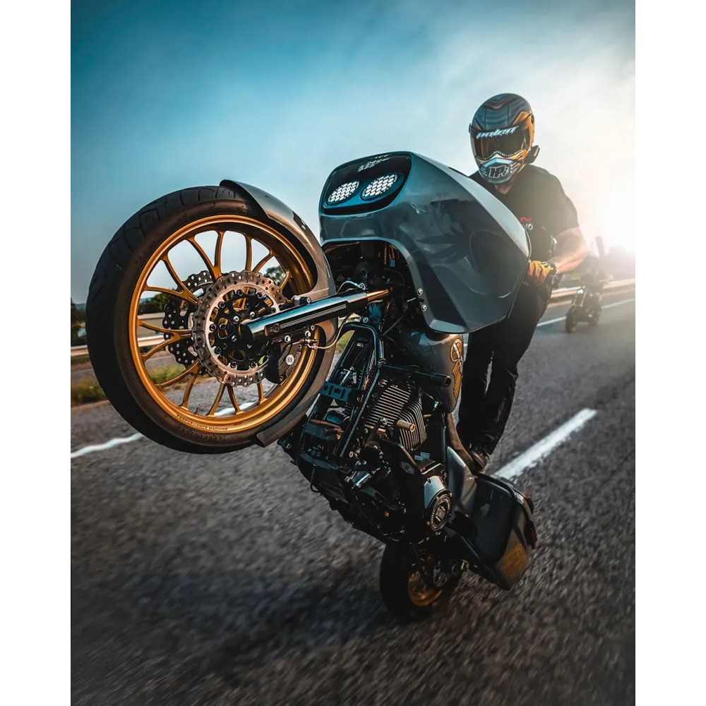 Two-Piece Brake Rotor — 292 mm (11.5"), Black