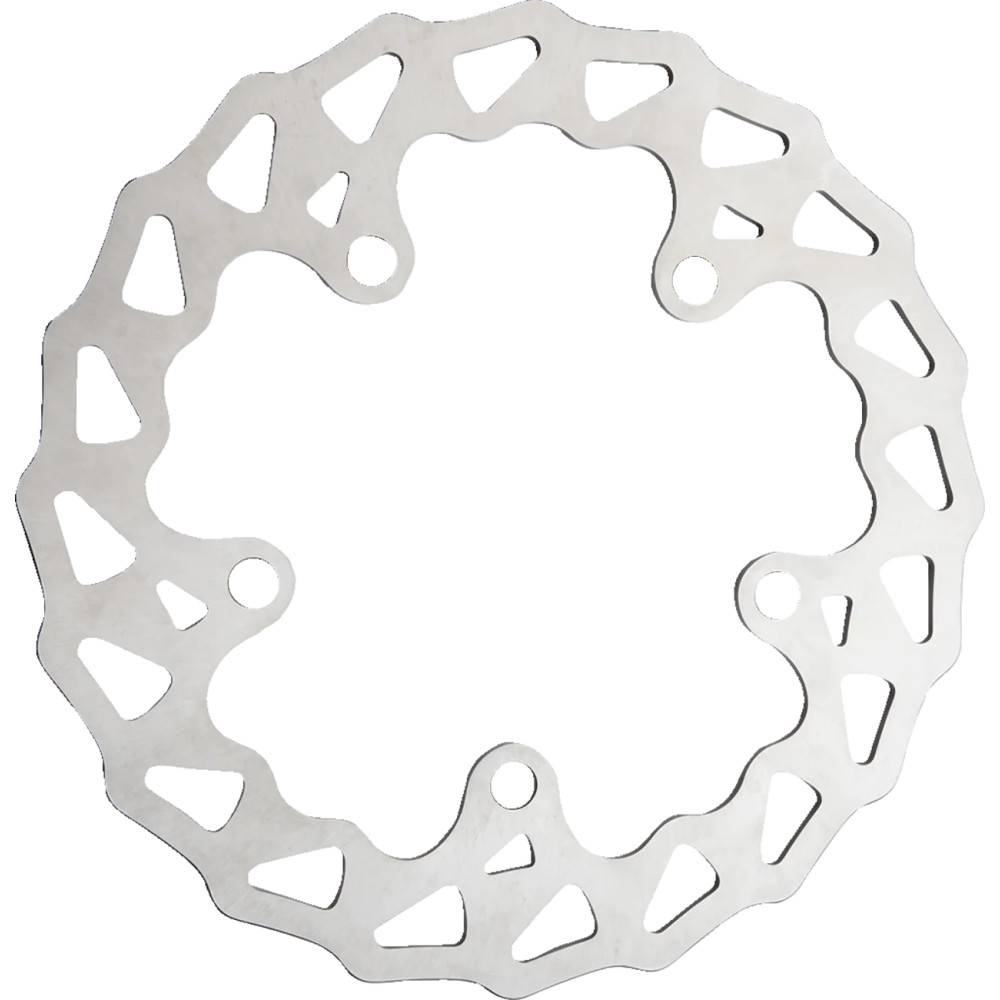 Rotator Brake Rotor — 300 mm (11-13/16"), Spoke Wheel