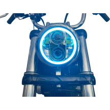 ProGLOW™ Faro LED con Halo cambiable de color — 146 mm (5-3/4"), para Harley-Davidson®, Cromado