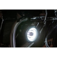 TAC-10 Cañones de luz — 10 W, ajuste para barras de 1-1/4", negro