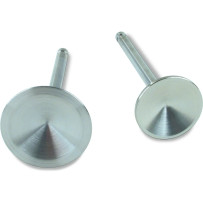 Replacement Stainless Steel Valves for S&S Heads — 2.000"