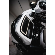 ProBEAM® Ámbar/Blanco Dynamic Ringz™ — casquillo 1157, LED, ámbar/blanco, lente ahumada, par