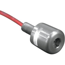 LED License Plate Mounting Bolts — 14 mm diameter, chrome