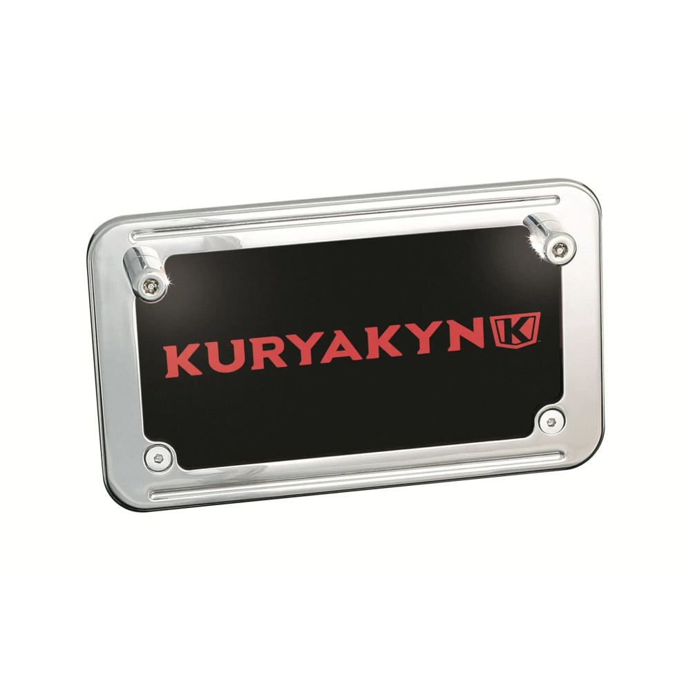 LED License Plate Bolt Lights — Pair, Bolt-On rear, Chrome