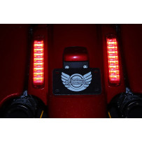 Paneles de luces traseras ProBEAM® LED para CVO™ — 16 LED, rojo, par