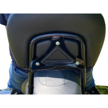 Dual Intensity Run & Brake Backrest LED Light — Red, Harley-Davidson®