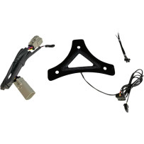 Dual Intensity Run & Brake Backrest LED Light — fits Harley-Davidson®, Backrest, 100 LEDs, Red